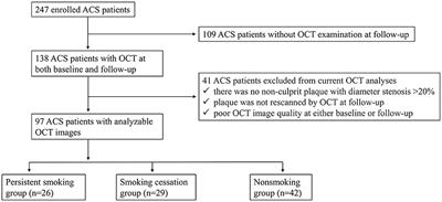 Persistent Cigarette Smoking Attenuates Plaque Stabilization in Response to Lipid-Lowering Therapy: A Serial Optical Coherence Tomography Study